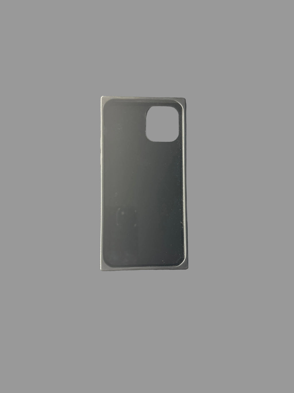 iPhone 12 Phone Case