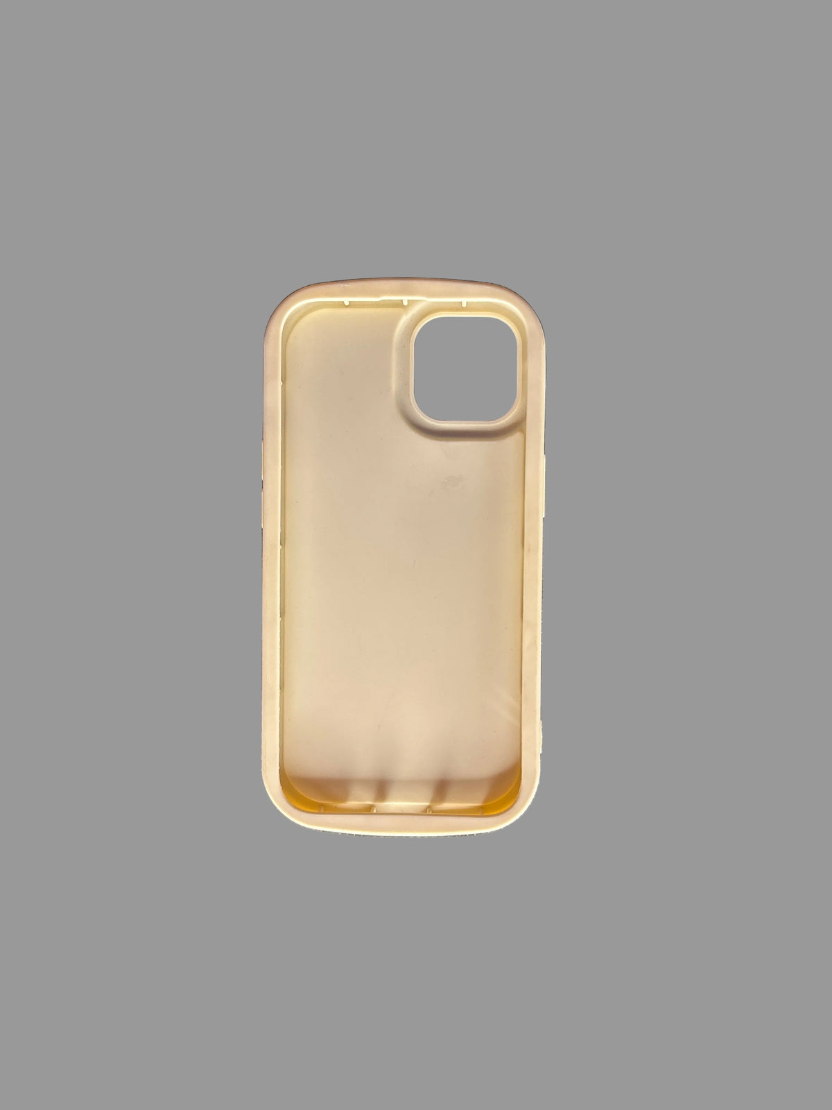 iPhone 13 Phone Case