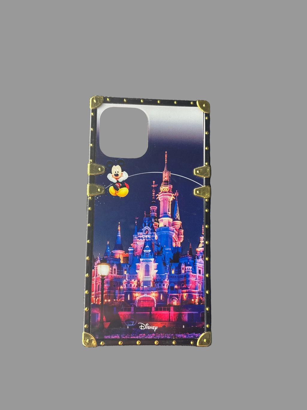 iPhone 12 Pro Max Phone Case