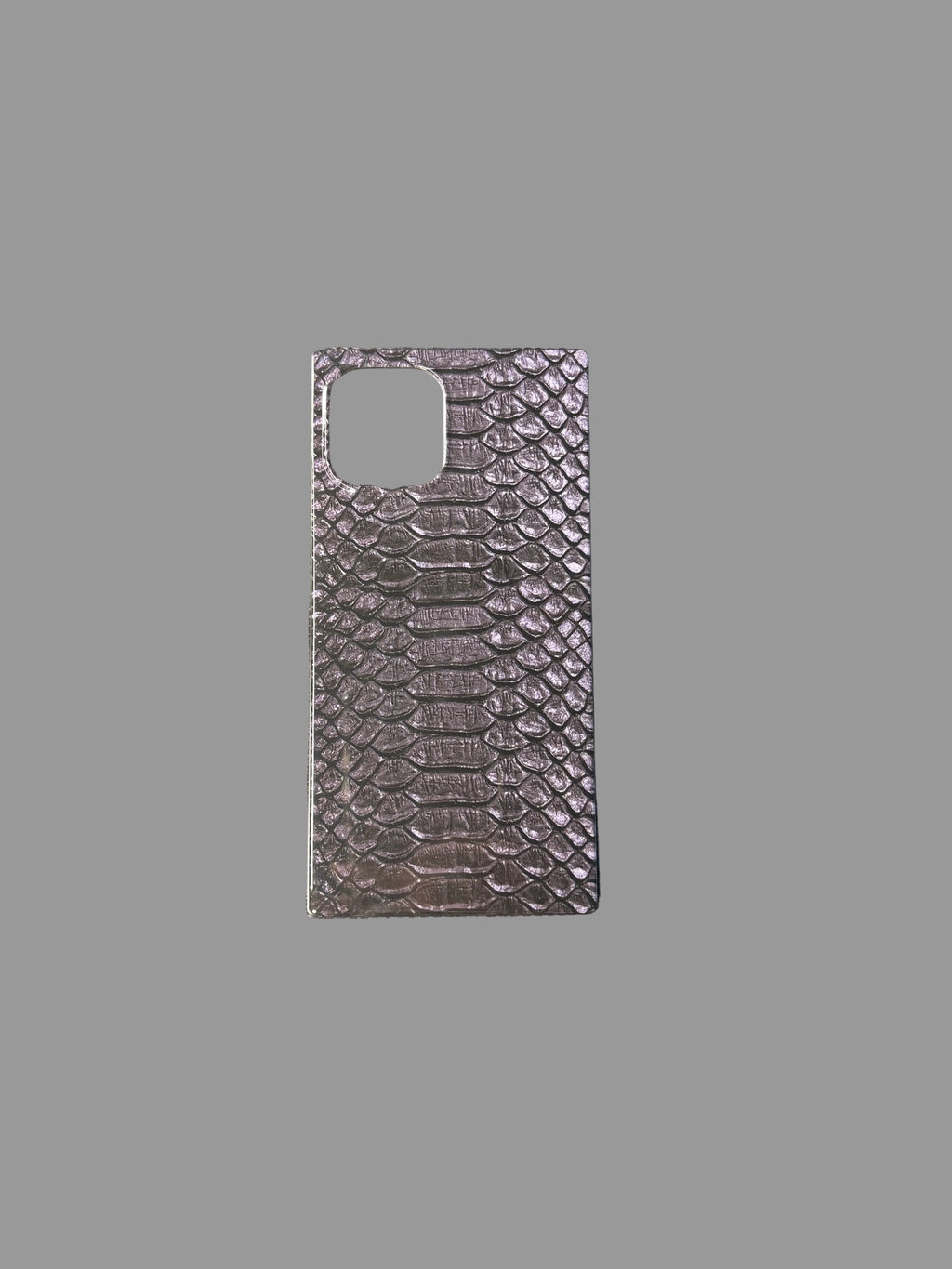 iPhone 12 Phone Case